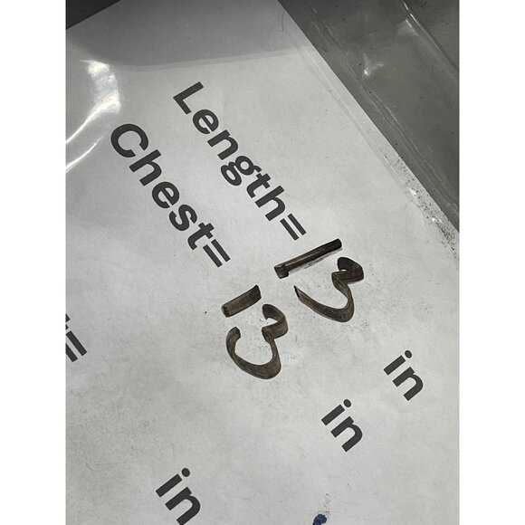 Abercrombie and Fitch Crop Top Size XS Sleeveless Lace Up Smocked Back Rust Chic - Picture 4 of 9